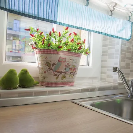 Cristian 2 Τιμισοάρα