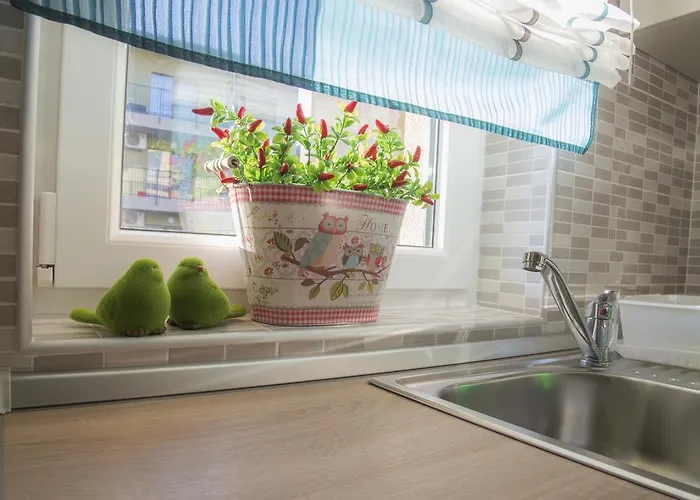 Cristian 2 Timişoara